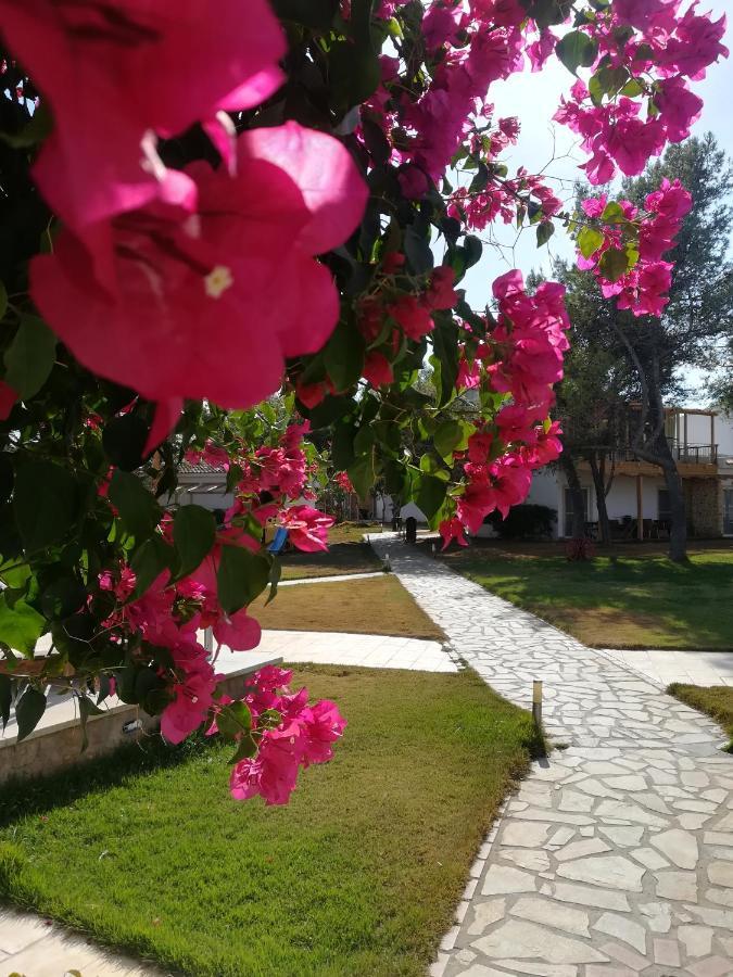 ホテルMarzi Beach And Bungalows Kokkónion エクステリア 写真