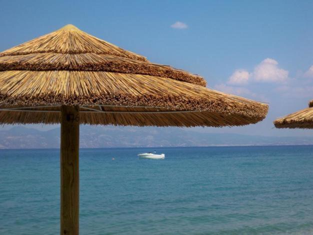 ホテルMarzi Beach And Bungalows Kokkónion エクステリア 写真